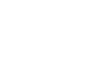 Caedance Lifestyle logo